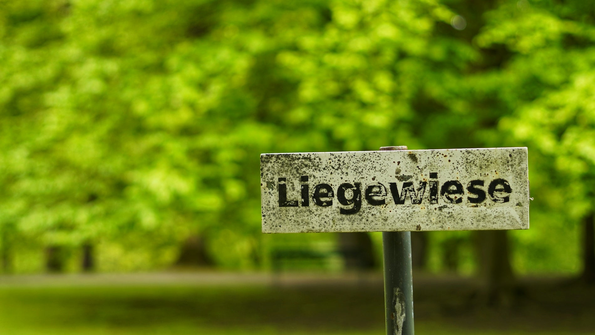 white and black wooden signage